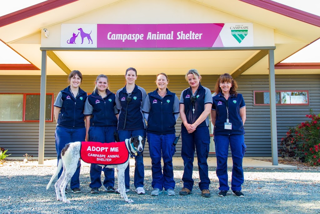 Campaspe Animal Shelter |  | 530 McKenzie Rd, Echuca VIC 3564, Australia | 0354803005 OR +61 3 5480 3005