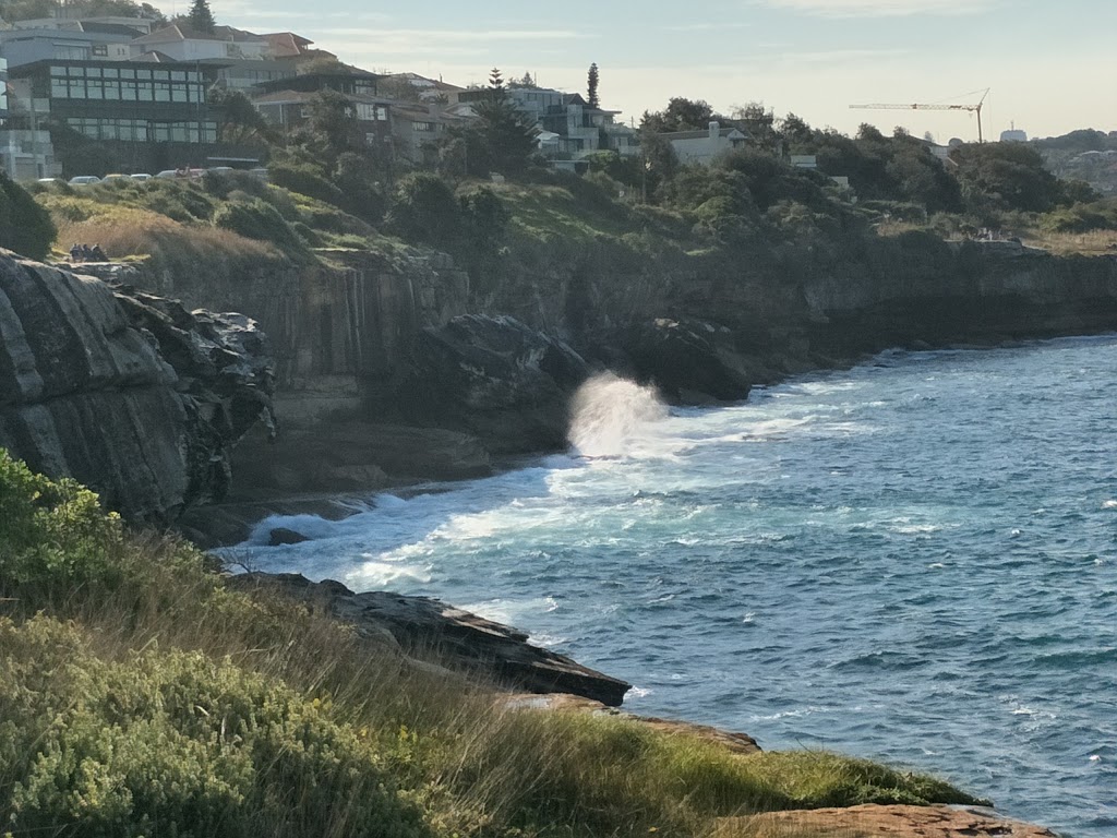 South Coogee Stairs | park | 4 Alexandria Parade, South Coogee NSW 2034, Australia