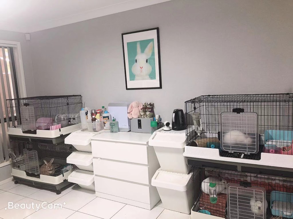 One Stop Bunny Shop | pet store | 43 Jupiter Rd, Kellyville NSW 2155, Australia | 0415446130 OR +61 415 446 130