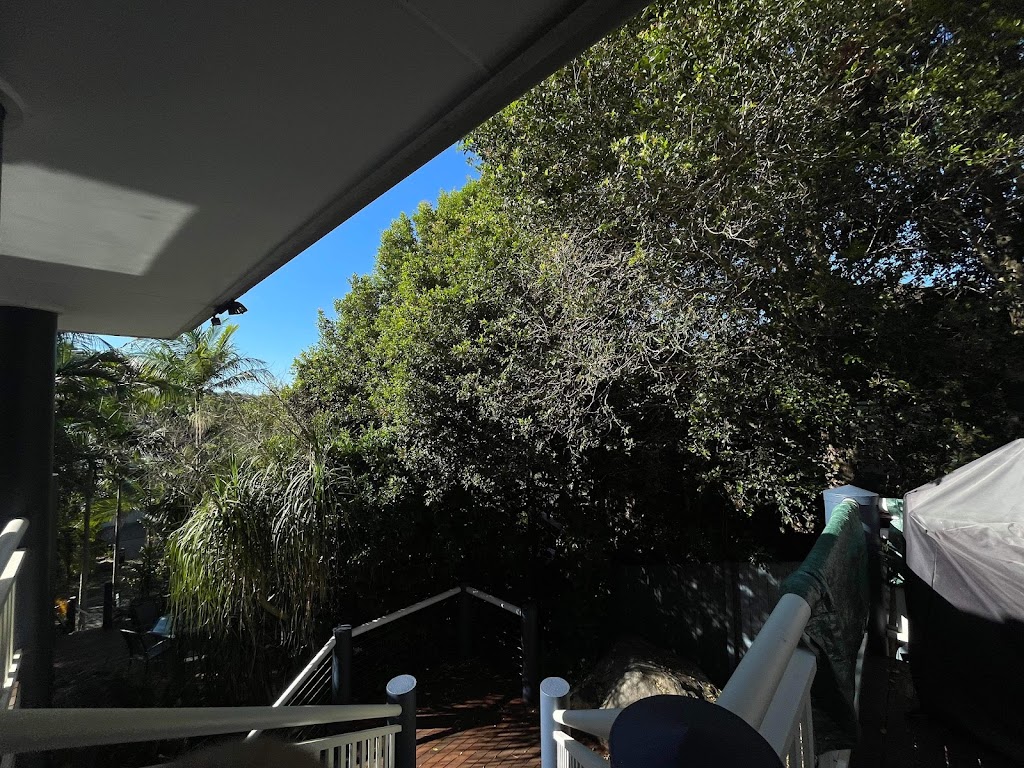 Limb Reaper | 19 Batman Dr, Redbank Plains QLD 4301, Australia | Phone: 0413 263 455