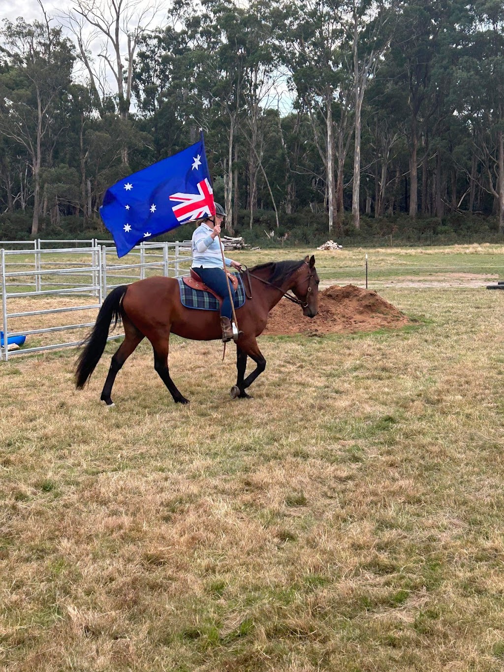 Tindara Flats Horsemanship | 179 Louisa St, Bracknell TAS 7302, Australia | Phone: 0447 773 254
