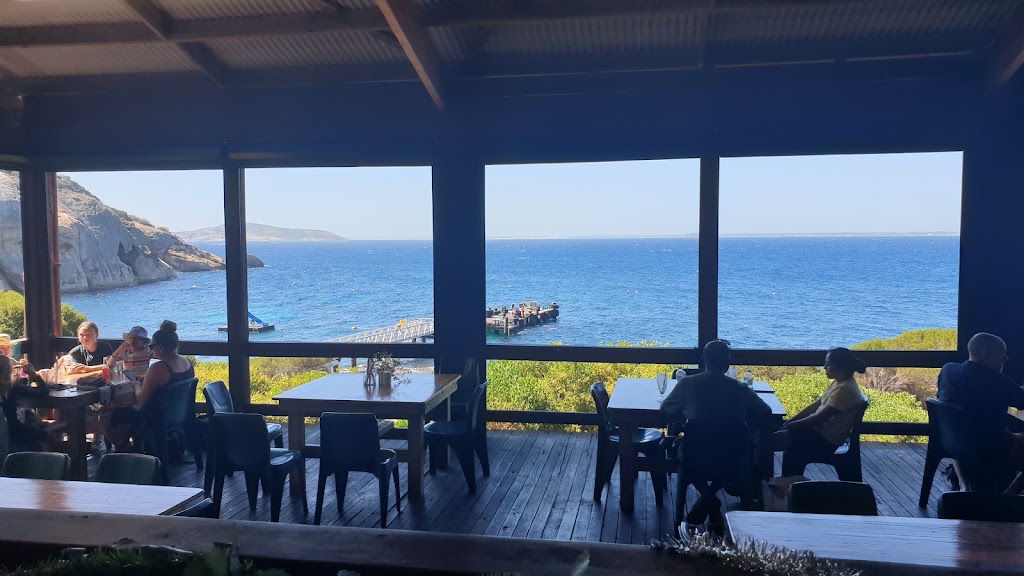 Woody Island Eco Tours | Western Australia 6450, Australia | Phone: 0484 327 580