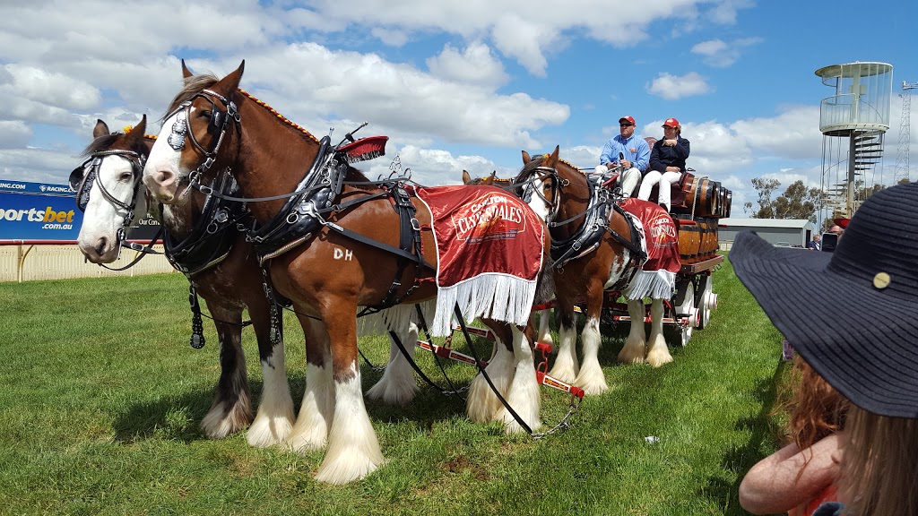 Echuca Racecourse |  | Echuca VIC 3564, Australia | 0354822487 OR +61 3 5482 2487