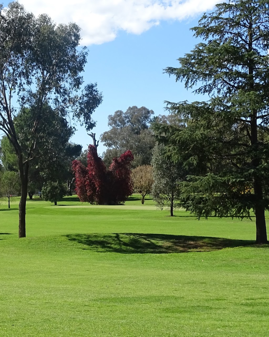 Cowra Golf Club | Mees St, Cowra NSW 2794, Australia | Phone: (02) 6342 2299