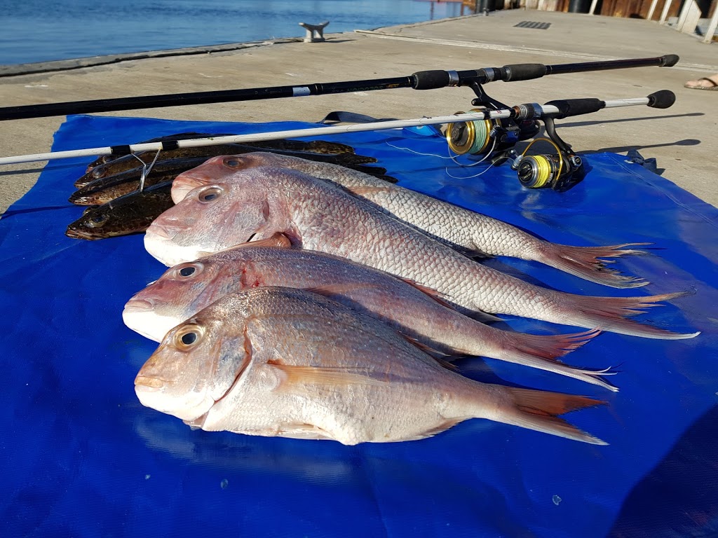 FISH HARD | tourist attraction | 71A Bellarine Hwy, Point Lonsdale VIC 3225, Australia | 0407517122 OR +61 407 517 122