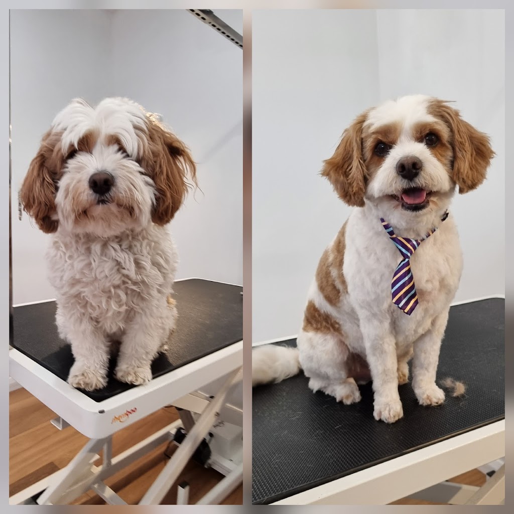 Alpine Doggy DTailing | 2 Mathews St, Myrtleford VIC 3737, Australia | Phone: 0456 698 455