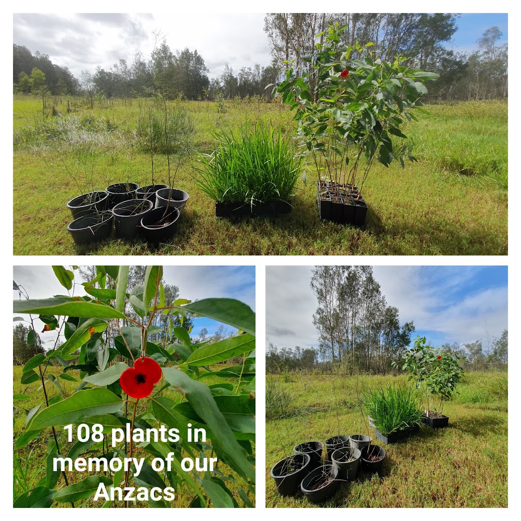 Top Bushworks | 841 Shark Creek Rd, Shark Creek NSW 2464, Australia | Phone: 0452 199 680