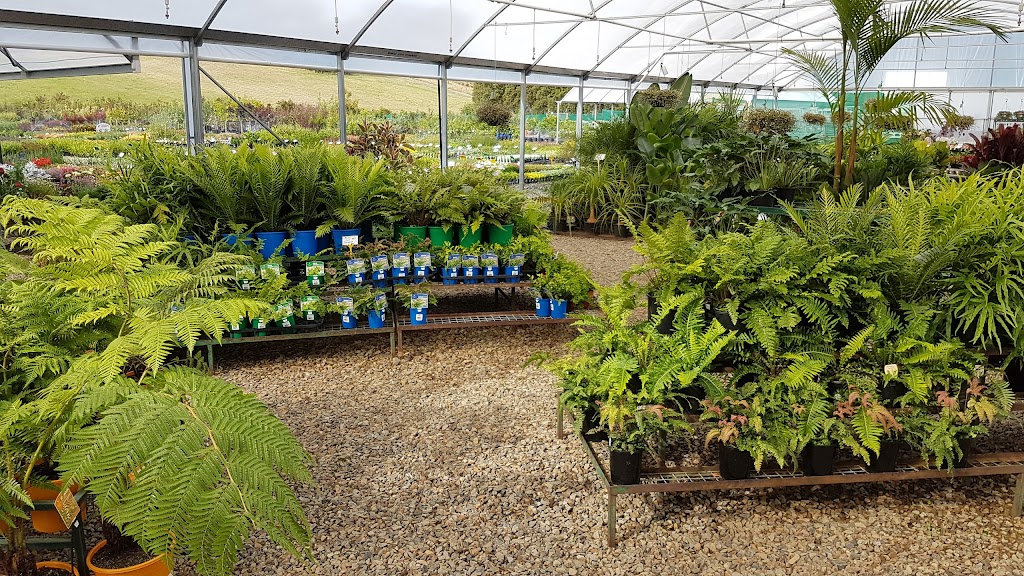 Plant Multi Nursery | 423 Liverpool Rd, Kilsyth South VIC 3137, Australia | Phone: (03) 9762 6909