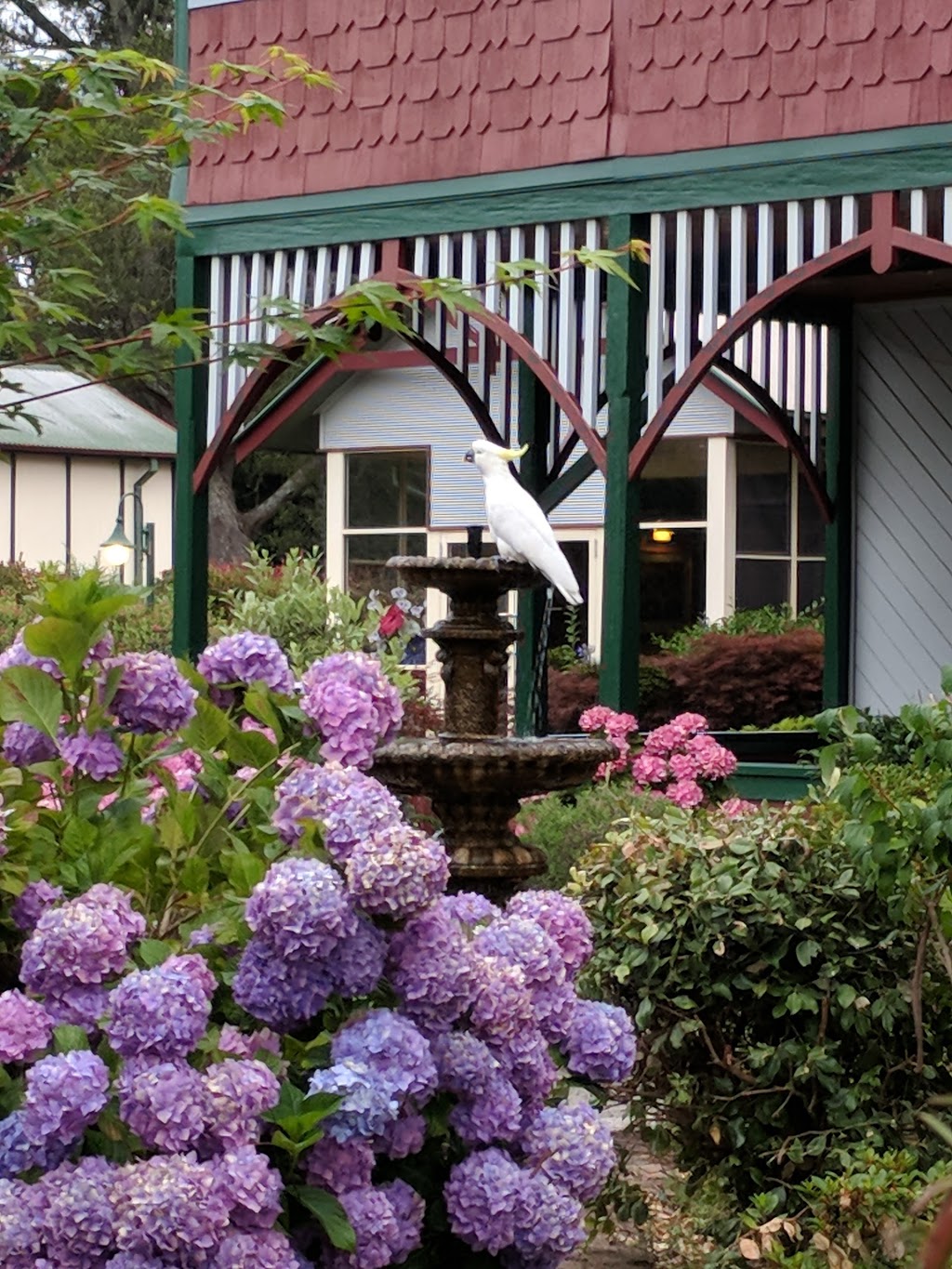 La Maison Boutique Hotel | lodging | 175/177 Lurline St, Katoomba NSW 2780, Australia | 0247824996 OR +61 2 4782 4996