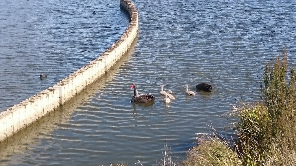 Gungahlin Valley Ponds | park | 13 The Valley Ave, Gungahlin ACT 2912, Australia