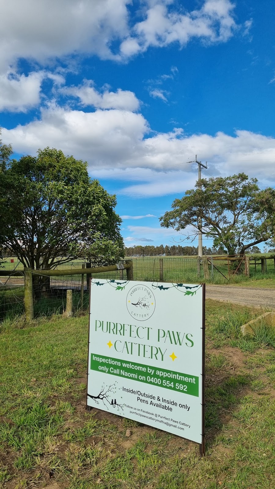 Purrfect Paws Cattery Maffra | 368 Falls Ln, Maffra VIC 3860, Australia | Phone: 0400 554 592