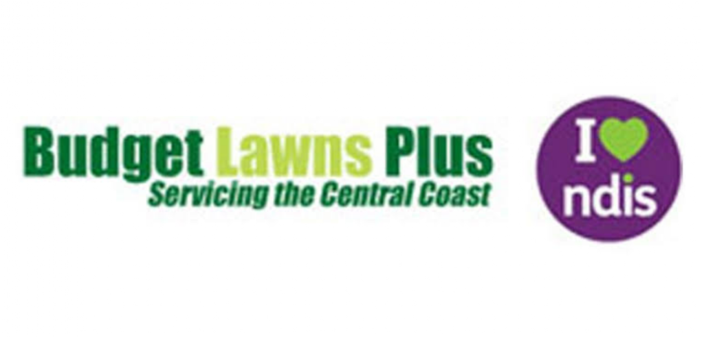 Budget Lawns Plus | 11 Helena St, Balcolyn NSW 2264, Australia | Phone: 1300 866 122