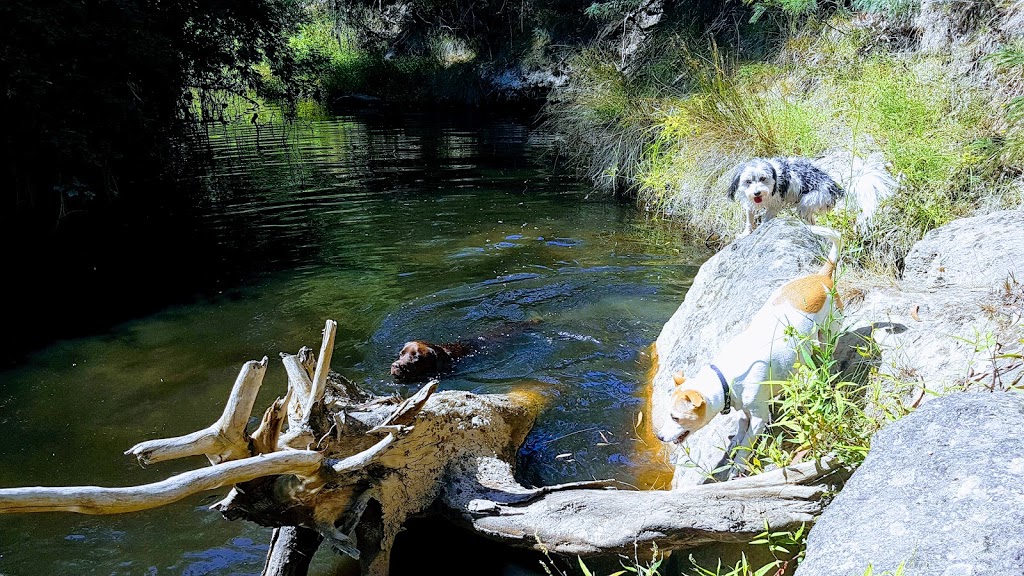 Diamond Creek Reserve Off Leash Dog Park | park | Diamond Creek VIC 3089, Australia