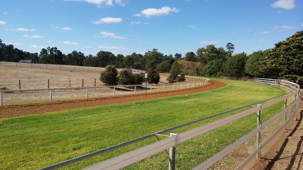 Cornerstone Stud | 476 Eden Valley Rd, Angaston SA 5353, Australia | Phone: (08) 8561 0000