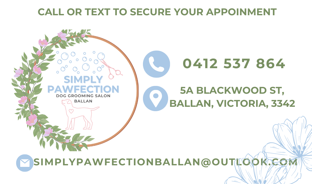 Simply Pawfection Dog Grooming Salon - Ballan | 5A Blackwood St, Ballan VIC 3342, Australia | Phone: 0412 537 864