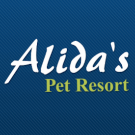Alidas Pet Resort | veterinary care | 583 Stapylton Jacobs Well Rd, Alberton QLD 4207, Australia | 0755462275 OR +61 7 5546 2275