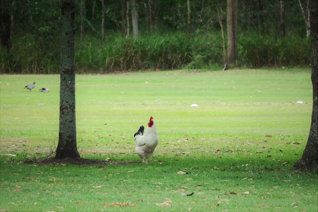 Oxley Golf Range | 1020 Oxley Rd, Oxley QLD 4075, Australia | Phone: (07) 3379 2078