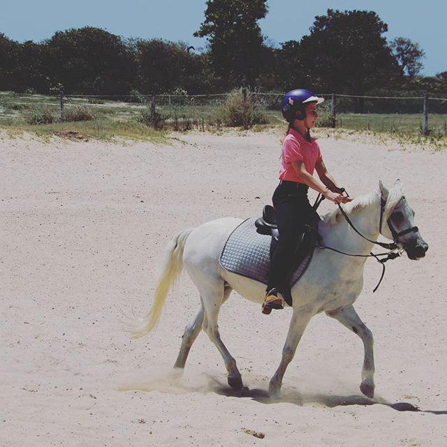 Kurnell Boarding Stables | gym | 241-269 Captain Cook Dr, Kurnell NSW 2231, Australia | 0296689817 OR +61 2 9668 9817
