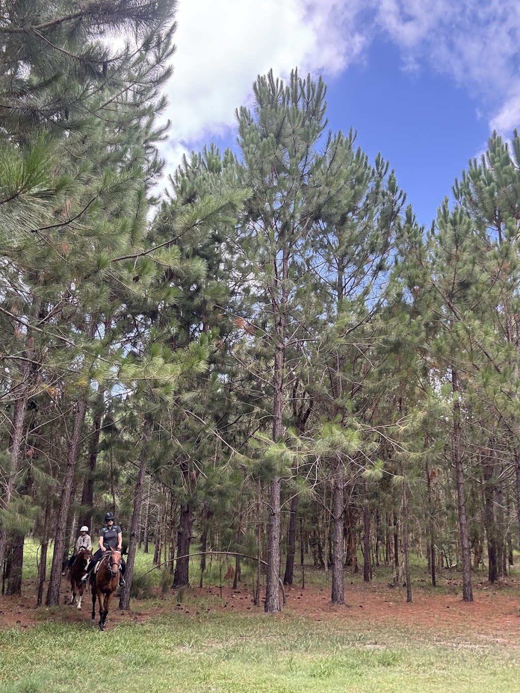 Relaxation & Wellness Horse Riding Retreat | 59 Ardwick Ct, Stanmore QLD 4514, Australia | Phone: 0402 824 149