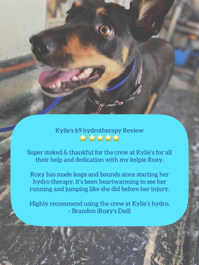 Kylies K9 Hydrotherapy | 25 Alkoomie Pl, Wilton NSW 2571, Australia | Phone: 0419 666 673