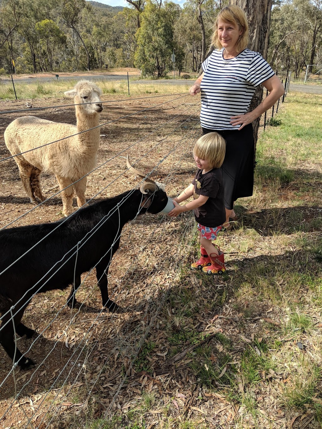 Ophir Valley Cabins | 1606 Ophir Rd, Orange NSW 2800, Australia | Phone: 0425 228 551