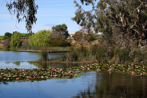 St Augustines Lagoon | park | 3 Augustine Dr, Highton VIC 3216, Australia