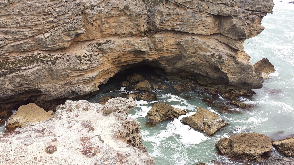 Fairy Penguin Colony | park | Port Macdonnell SA 5291, Australia