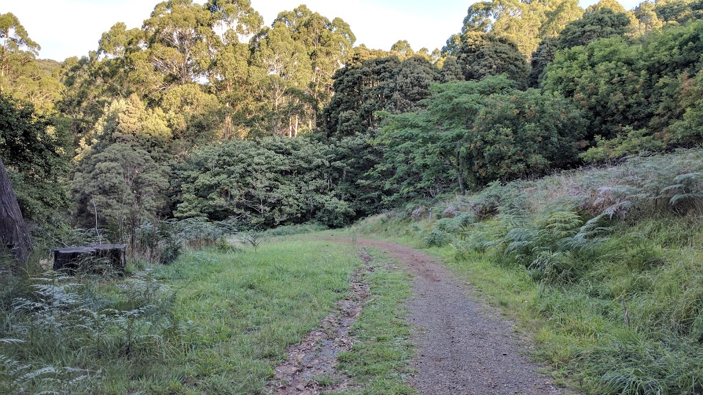 Valley and Eagle Nest Loop | park | Boundary Rd, Olinda VIC 3788, Australia