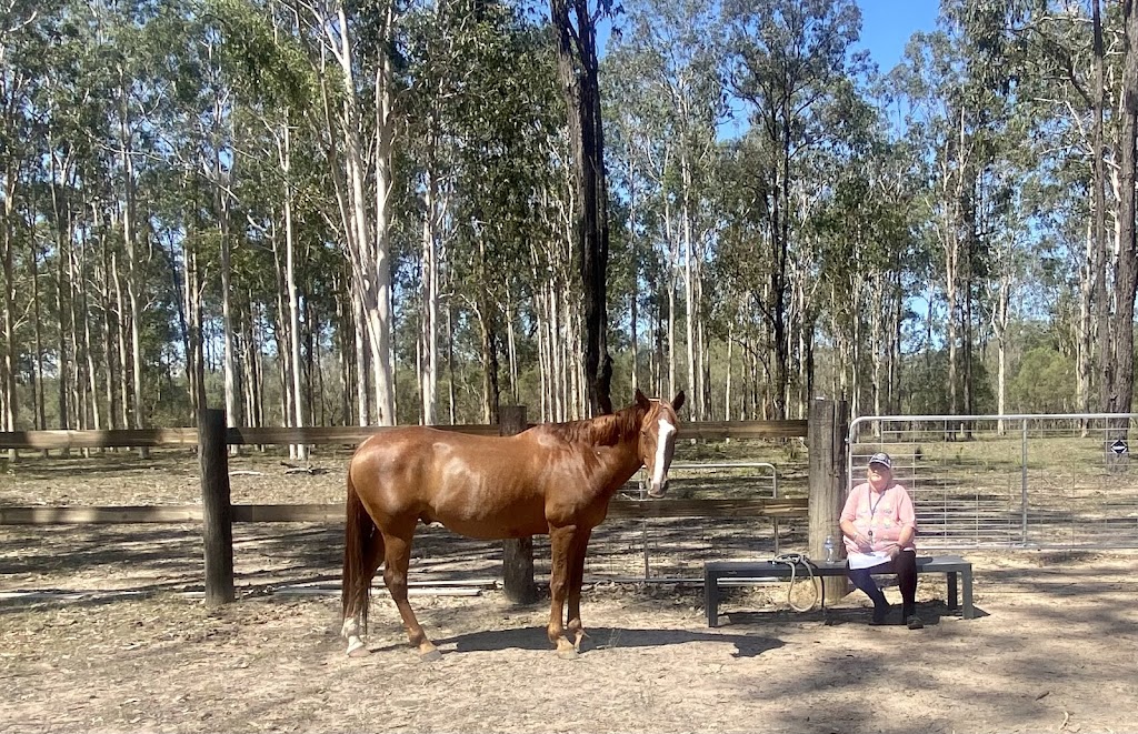 Hearts and Hooves Equestrian Centre | 77 Kangaroo Creek Rd, Coutts Crossing NSW 2460, Australia | Phone: 0415 617 792