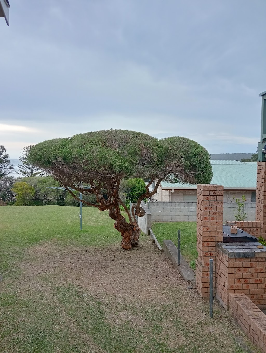 Botanical Boy Gardening Service | 15 Brighton St, Tuross Head NSW 2537, Australia | Phone: 0415 734 630