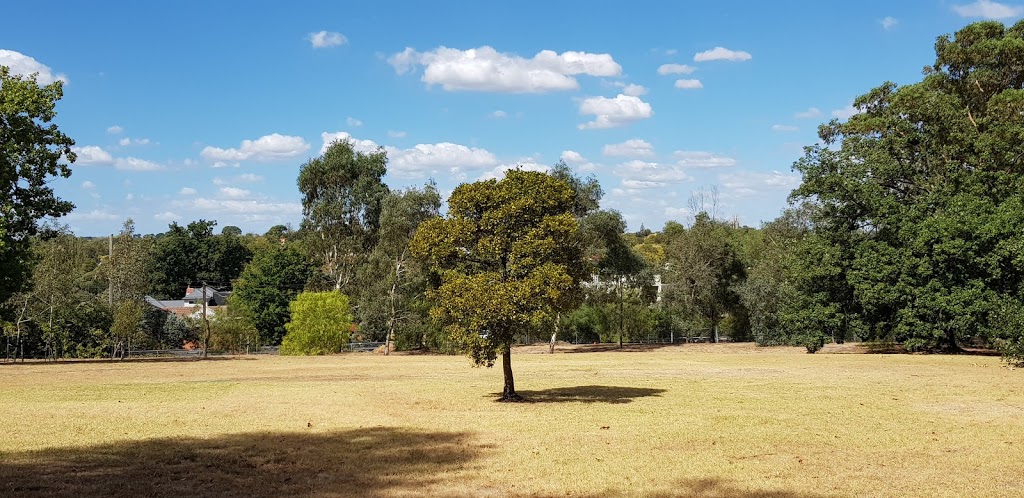 Brinsley Reserve | park | Brinsley Rd, Camberwell VIC 3124, Australia