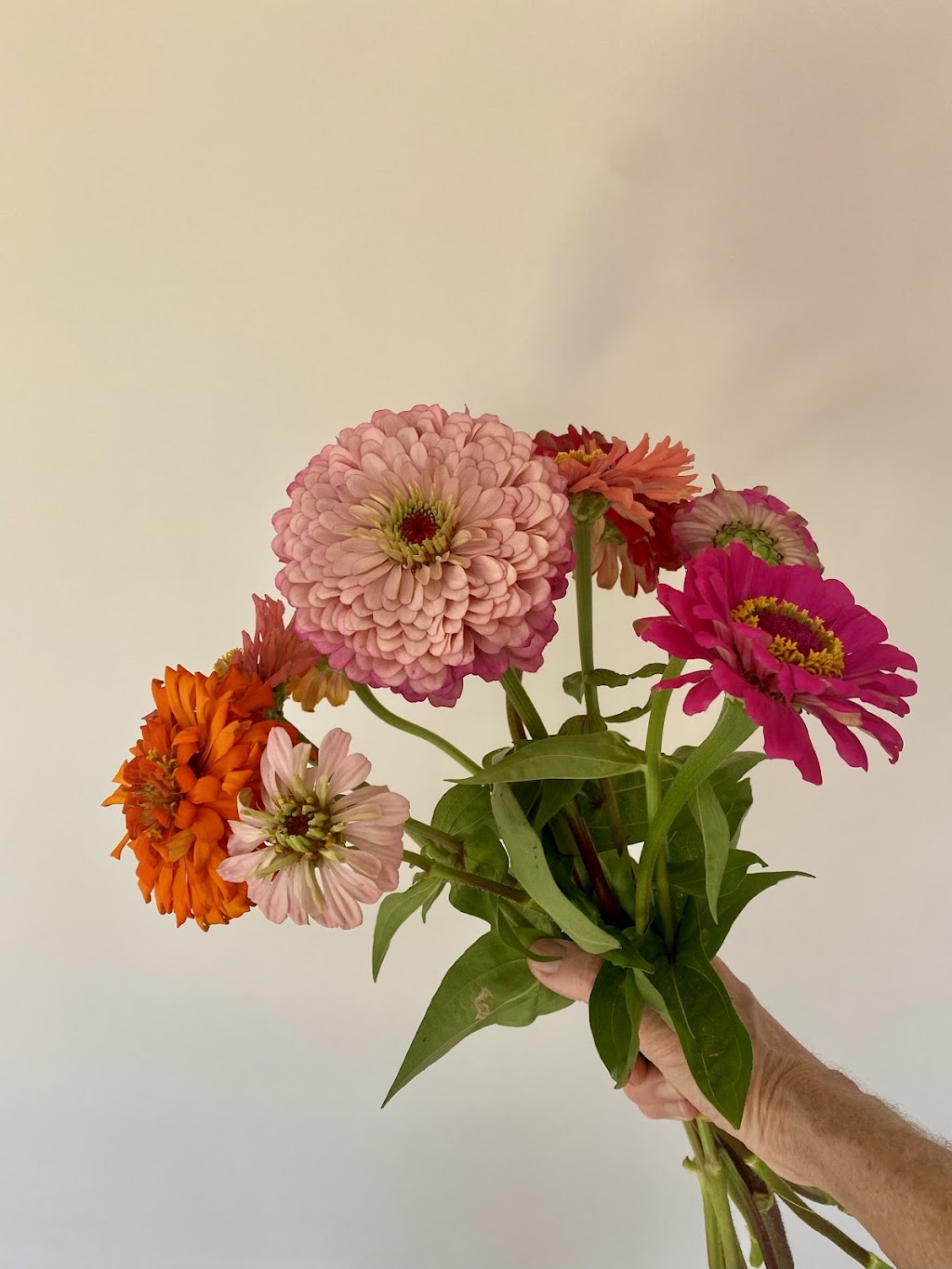 Crystal Creek Blossom Bar | 2 Crooks Valley Rd, Crystal Creek NSW 2484, Australia | Phone: 0407 118 001