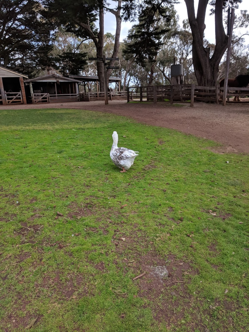 Phillip Island Parkrun | health | Heritage Farm, Churchill Island VIC 3925, Australia