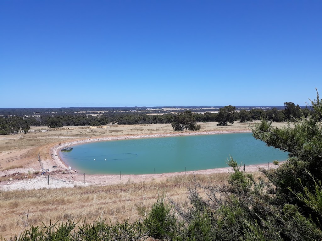 Muchea Livestock Centre (WAMIA) | Muchea WA 6501, Australia | Phone: (08) 9571 0013