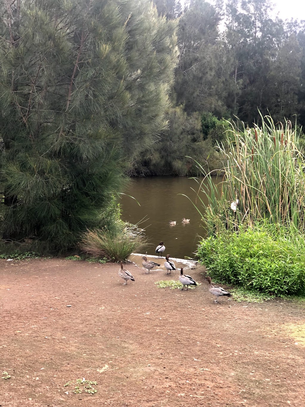 Eastbourne Park | park | Stanhope Gardens NSW 2768, Australia