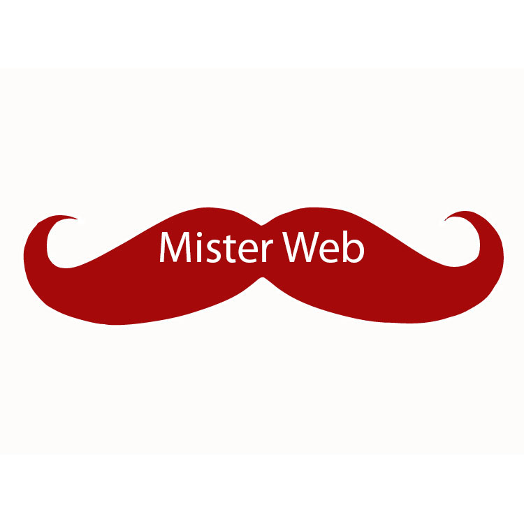 Mister Web | 67 Leivesley St, Bundaberg East QLD 4670, Australia | Phone: (07) 4152 6333