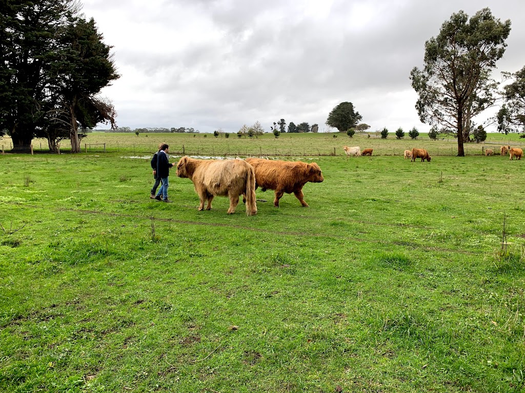 Poll Highland Cattle | food | 196 Lesters Rd, Bungaree VIC 3352, Australia | 0419140622 OR +61 419 140 622