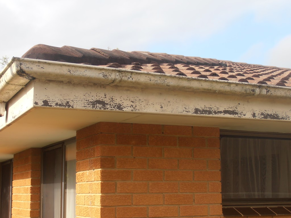 Port Macquarie Metal Fascia & Guttering | roofing contractor | Unit 1/178 Lord St, Port Macquarie NSW 2444, Australia | 0417416690 OR +61 417 416 690