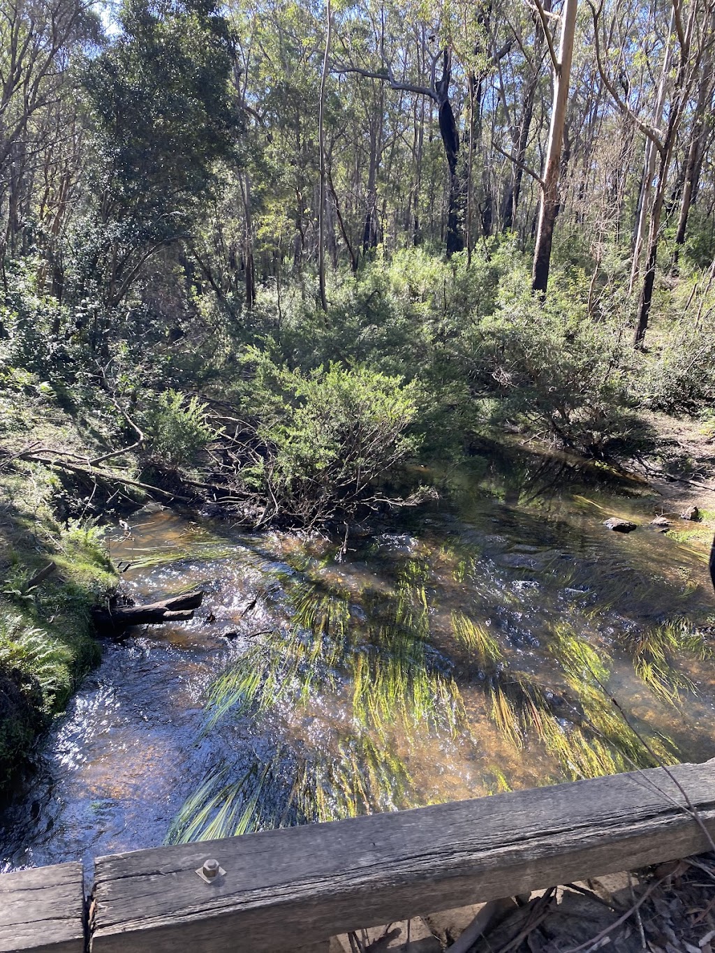 Yadboro State Forest | Yadboro NSW 2539, Australia | Phone: (02) 9872 0111