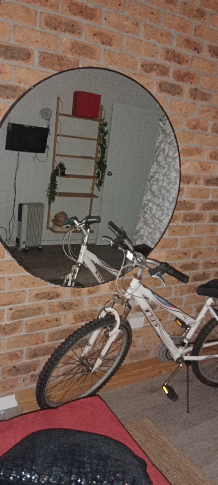 CITAS CHAIR | 26 Crespigny St, Talbot VIC 3371, Australia | Phone: 0460 892 347