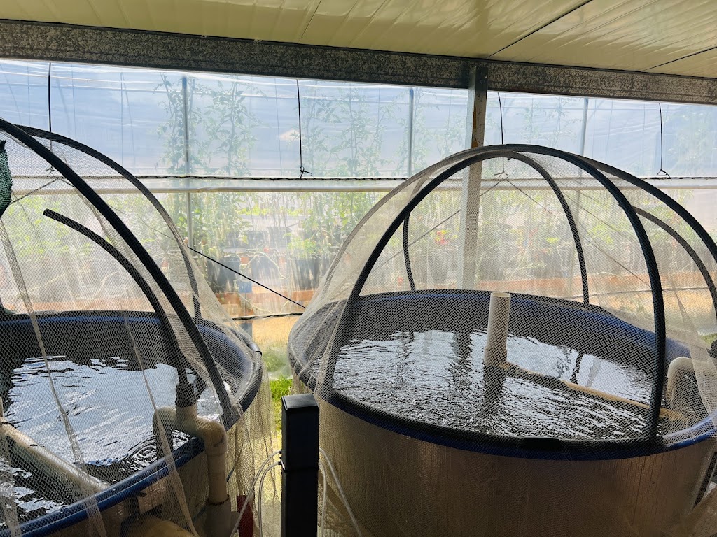 Fiery Fish Farm | 218 Martin Cres, Benarkin North QLD 4314, Australia | Phone: 0432 114 101