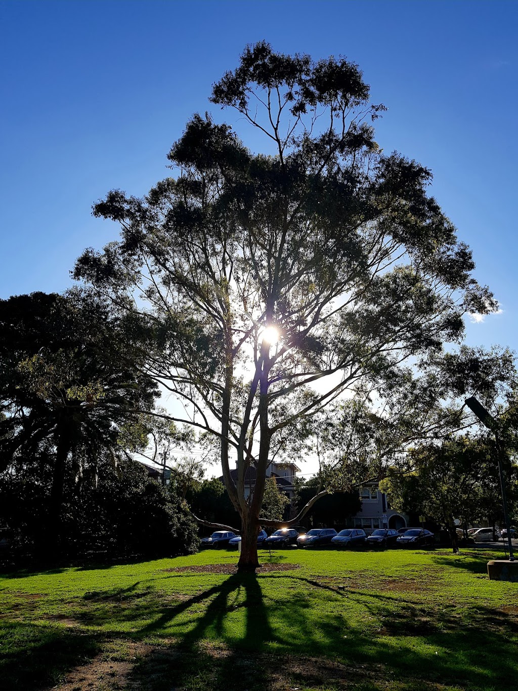 Renfrey Gardens | park | 10 Blessington St, St Kilda VIC 3182, Australia