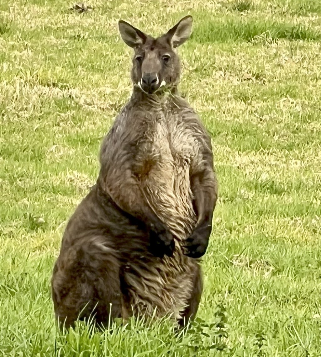 Camden Park Environmental Education Centre | 315/319 Finns Rd, Menangle NSW 2568, Australia | Phone: (02) 4636 6313