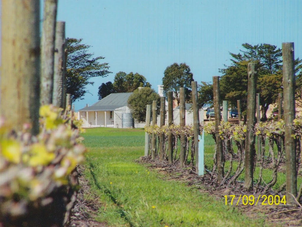 Kayinga Vineyard | 171 Verco Rd, Langhorne Creek SA 5255, Australia | Phone: (08) 8537 3351