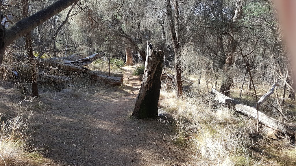 Deadmans Hollow Lookout | park | Trevallyn TAS 7250, Australia