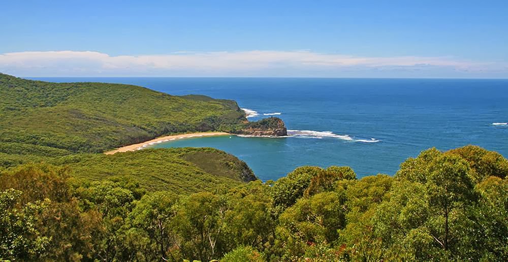 Bouddi Farm | 251 The Scenic Rd, Killcare NSW 2257, Australia | Phone: 0411 318 230