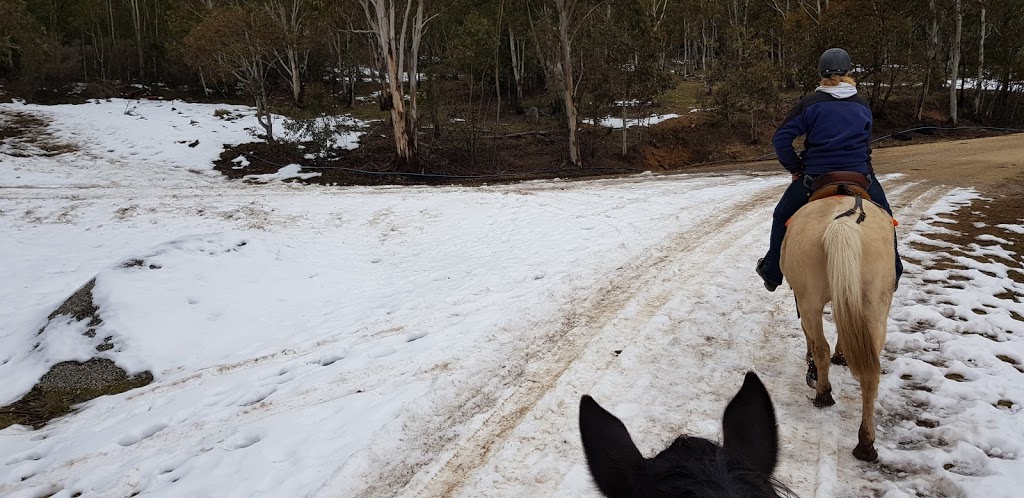 Thredbo Valley Horse Riding | tourist attraction | 2627/1056 Alpine Way, Crackenback NSW 2627, Australia | 0264562142 OR +61 2 6456 2142