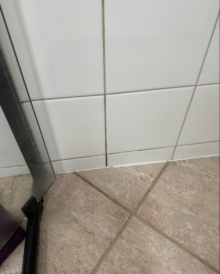 Pelikan Cleaning Services | 13 Royal Rd, Bonbeach VIC 3196, Australia | Phone: 0490 725 579