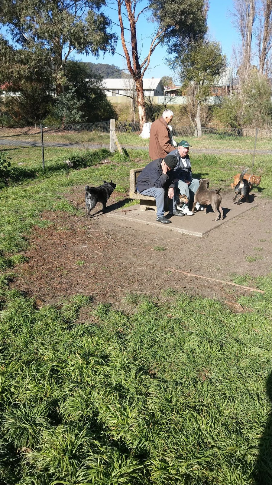 Lithgow Dog Park and Recreation Area | Montague St, Lithgow NSW 2790, Australia | Phone: (02) 6354 9999