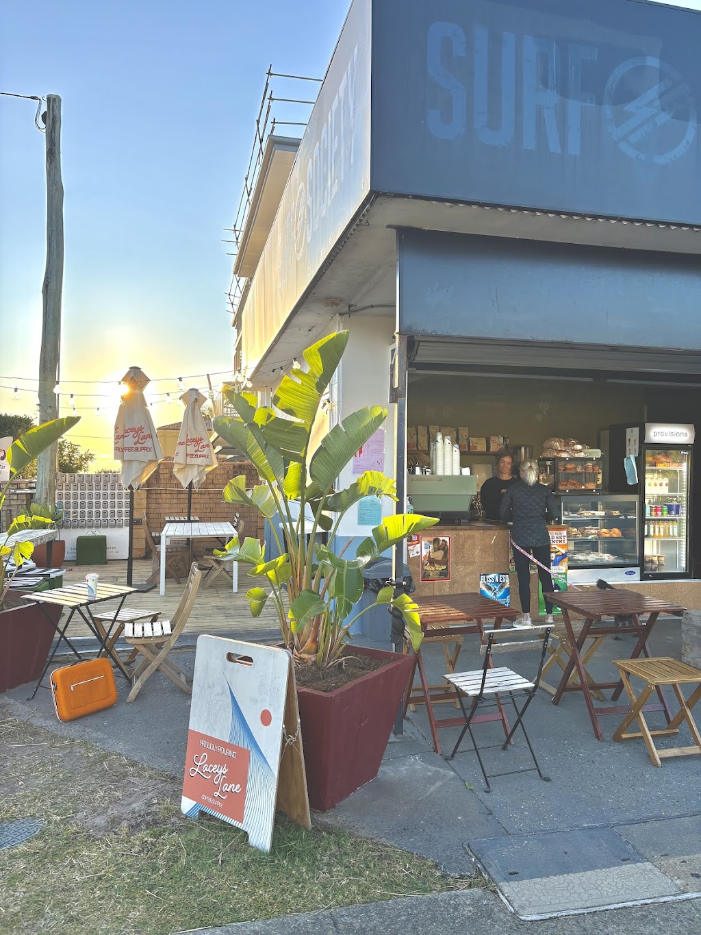 Llamas to the Sky - Palm beach | 1237 Gold Coast Hwy, Palm Beach QLD 4221, Australia | Phone: 0484 679 975